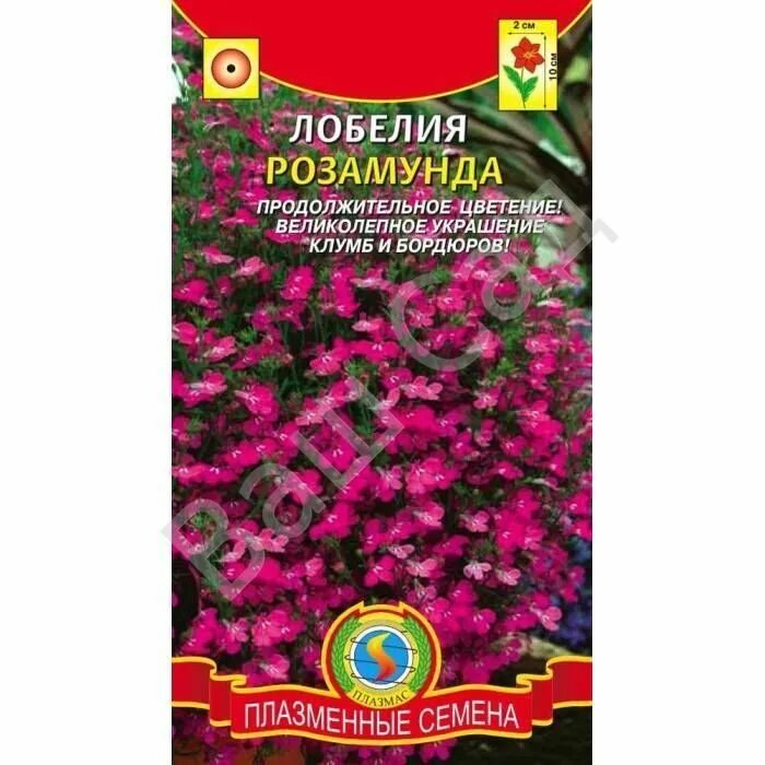 Лобелия розамунда. Лобелия розамунда семена. Лобелия розамунда 0,05г (гш). Лобелия розамунда гавриш. Гавриш цветы каскад обриета адансона.