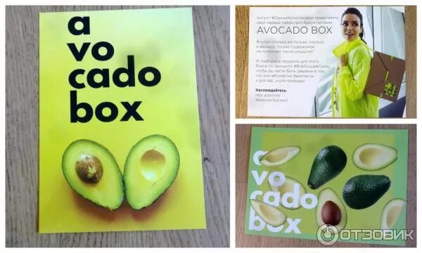 Подарочный набор авокадо для девочек. Авокадо бокс. Ланч бокс с авокадо. Подарок "авокадо". Avocado box.