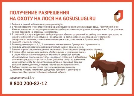 Когда наступит год лося