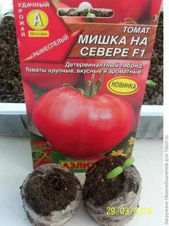 Томат мишка