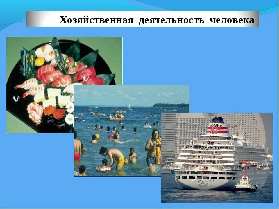 Море хозяйственный. Море хозяйственный