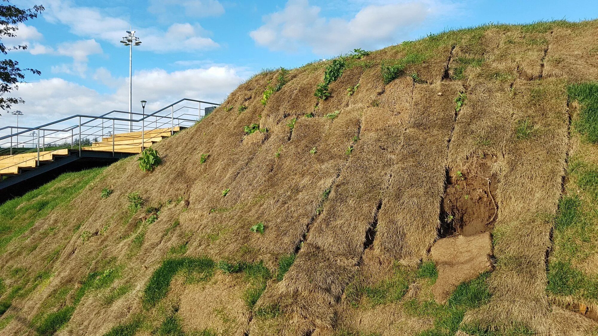 рельеф равнины. овраги и балки. овраг балка террикон.