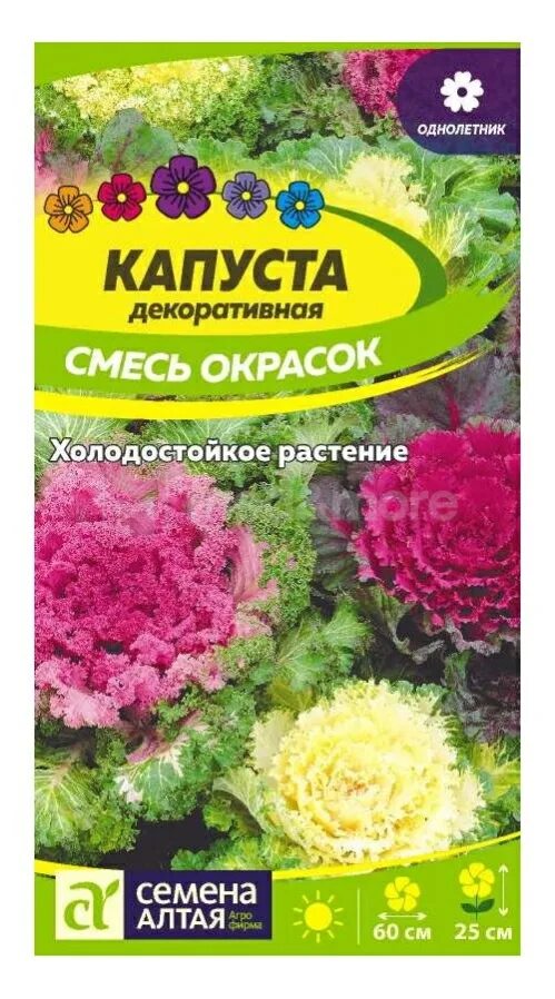 Капуста смесь. Декоративная капуста семена алтая. Капуста декоративная крейн биколор. Капуста смесь. Цветы капуста декоративная букет.