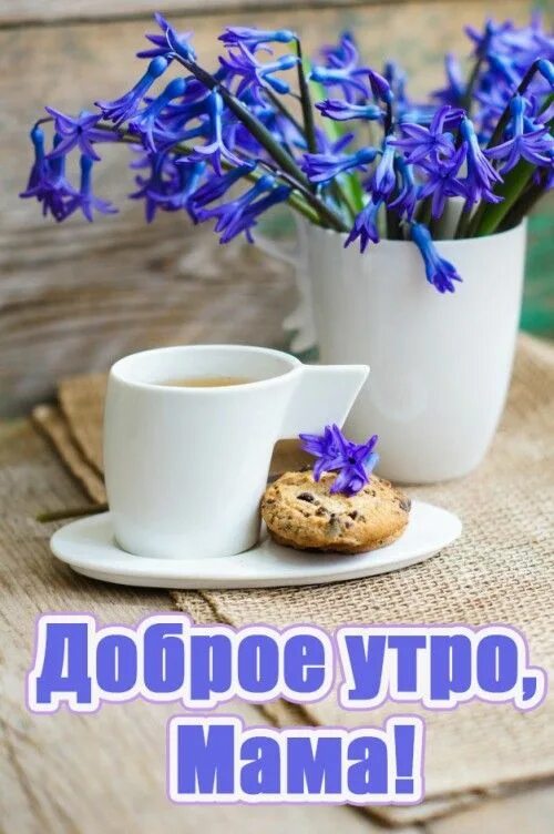 Доброго Утра! Rose