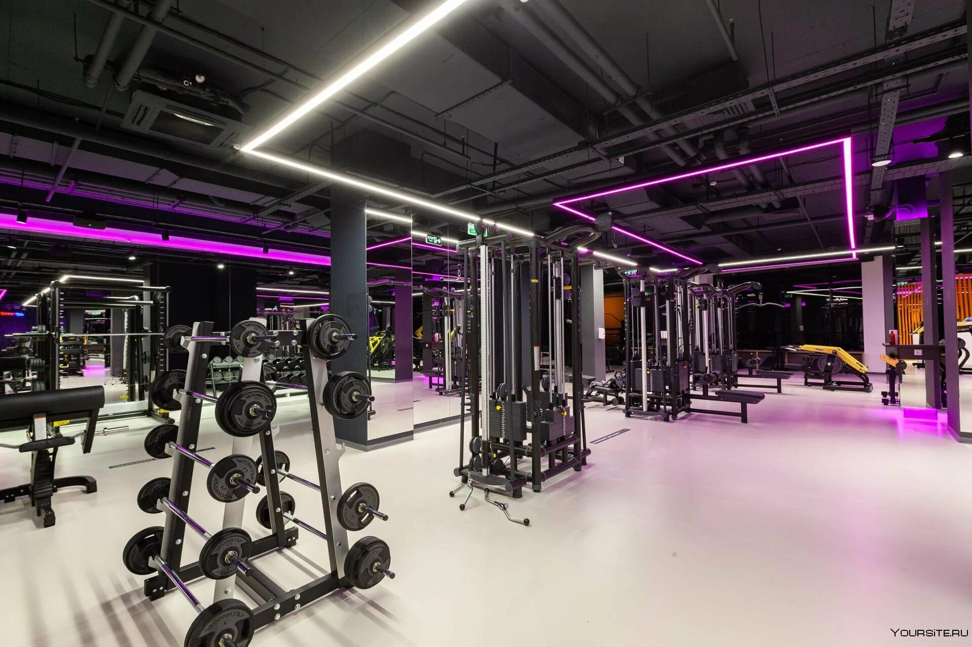 Ddx жулебино. Ddx fitness софия. ddx fitness домодедово. ddx fitness коньково. ddx fitness отрадное.