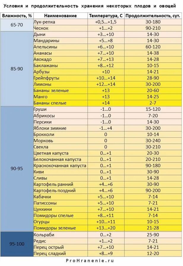 Сроки хранения растительных. Температурный режим хранения овощей. температура перевозки овощей и фруктов таблица. таблица хранения овощей и фруктов по температурным режимам. температурный режим хранения овощей и фруктов.