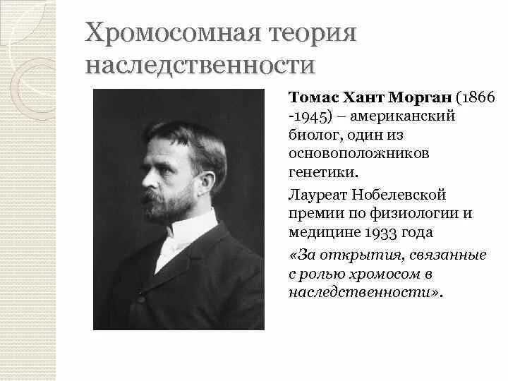 Автором хромосомной теории является. Хромосомная теория томаса моргана. положения хромосомной теории наследственности томаса моргана.