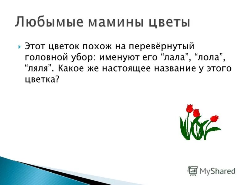 имена связанные с цветами. женские названия цветов растений. имена похожие на цветы.