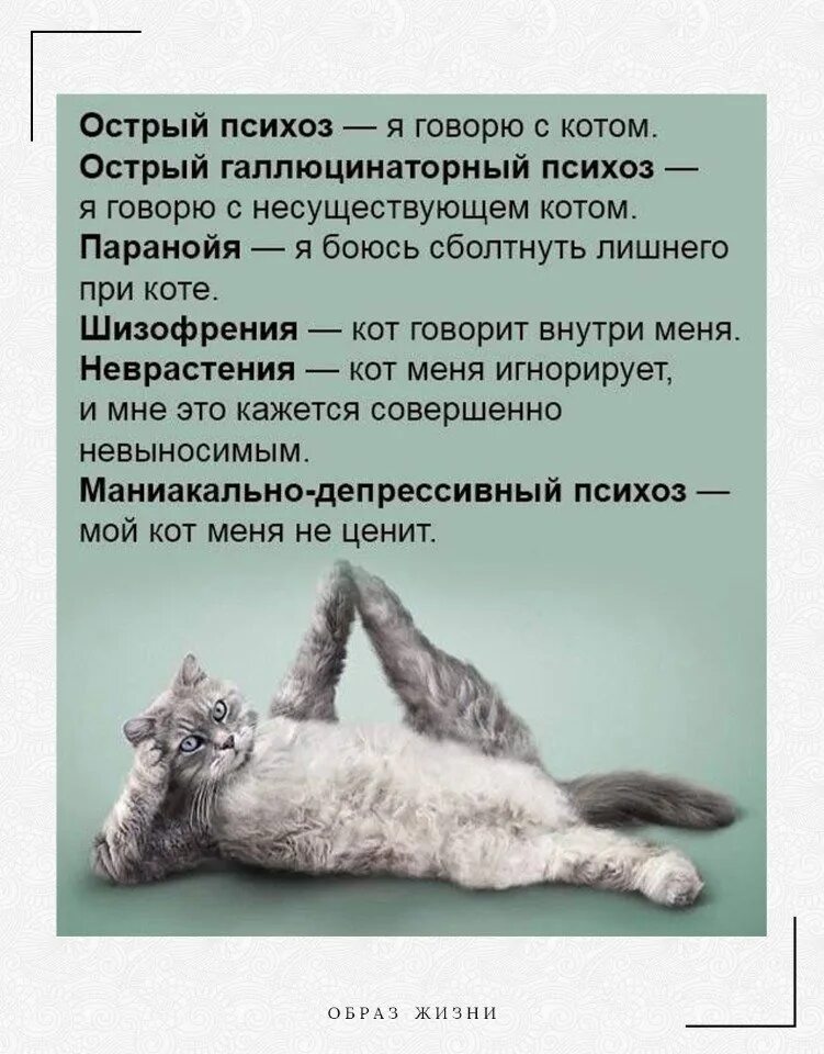 Совершенно невыносимый