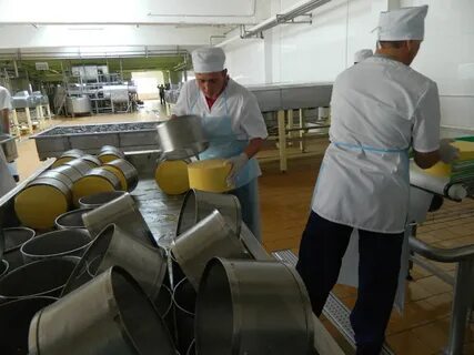 Еланский сыродельный комбинат