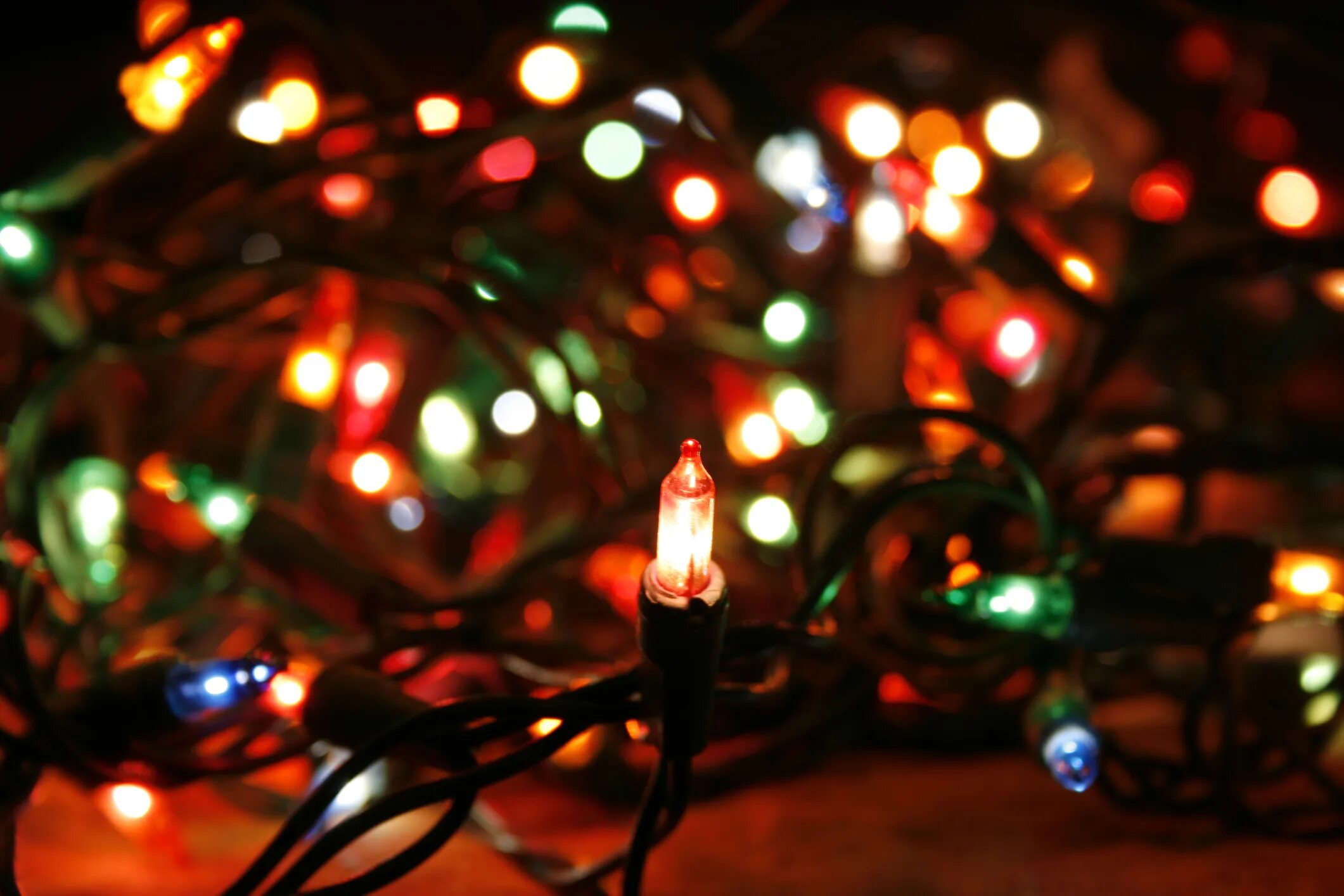 В елочной гирлянде последовательно включают несколько ламп. Гирлянда штора в высоком качестве фото. Tangled Christmas Lights.