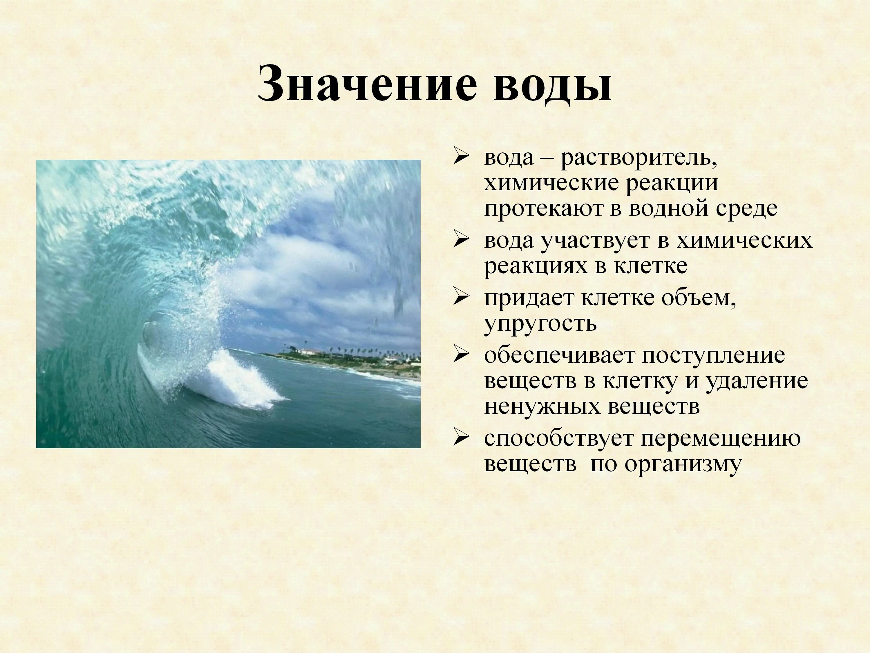 Вода значение 5 класс