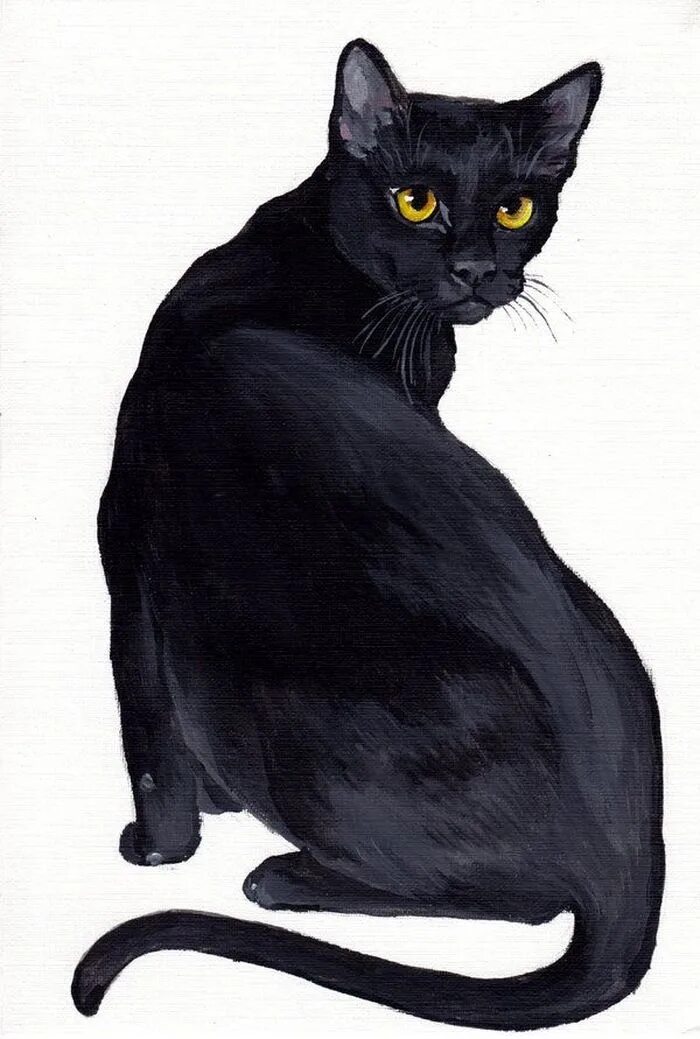 Как нарисовать черную кошку