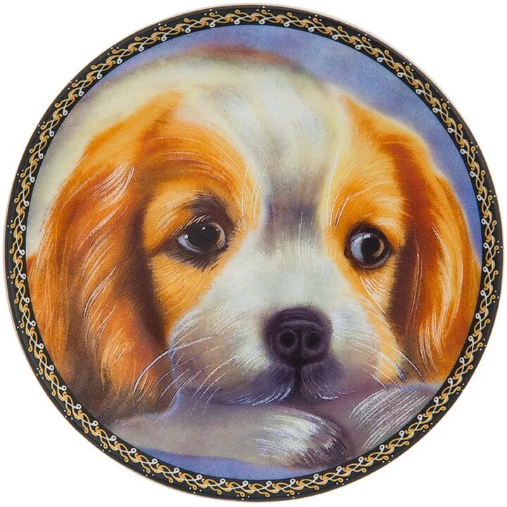 Шпиц круглый. Собака в круге. Круглые собачки. Бишон фризе панда. Круглая собачка.