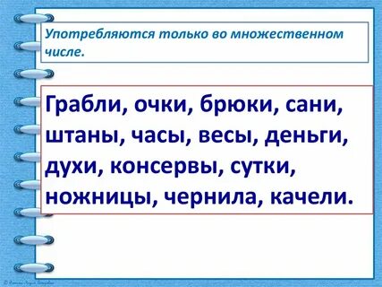 Пальто множественное число