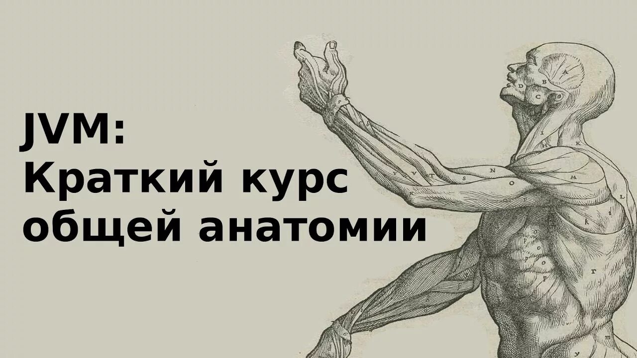 Общий курс анатомии. Анатомия краткий курс. анатомия за 30 секунд.