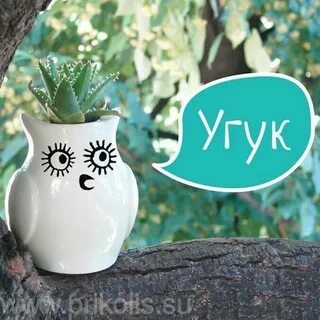 Погода в угук
