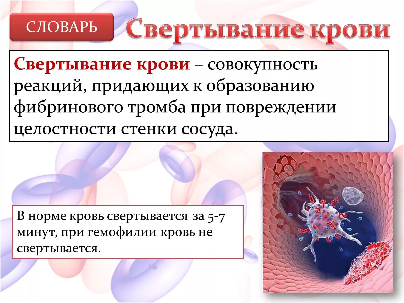 Свертывание крови презентация. Коагуляция крови. Что значит сильная кровь