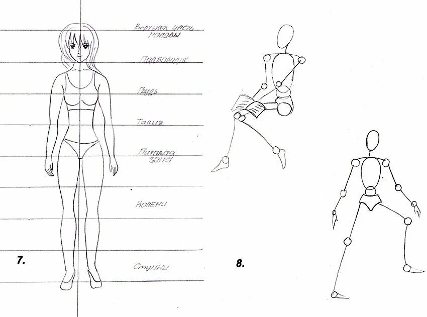 Схема человека. Схема рисования человека. Схема тела человека для рисования. Схема человеческого тела для рисования. Схема рисования человека для школьников.
