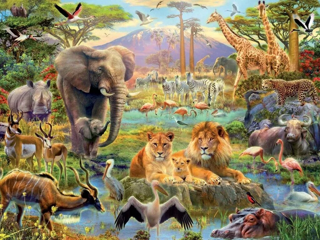 У животных много своей непонятной. Пазл Саванна Educa. Пазл Ravensburger джунгли (16610), 2000 дет.. Африка пустыня Саванна джунгли. Много животных.