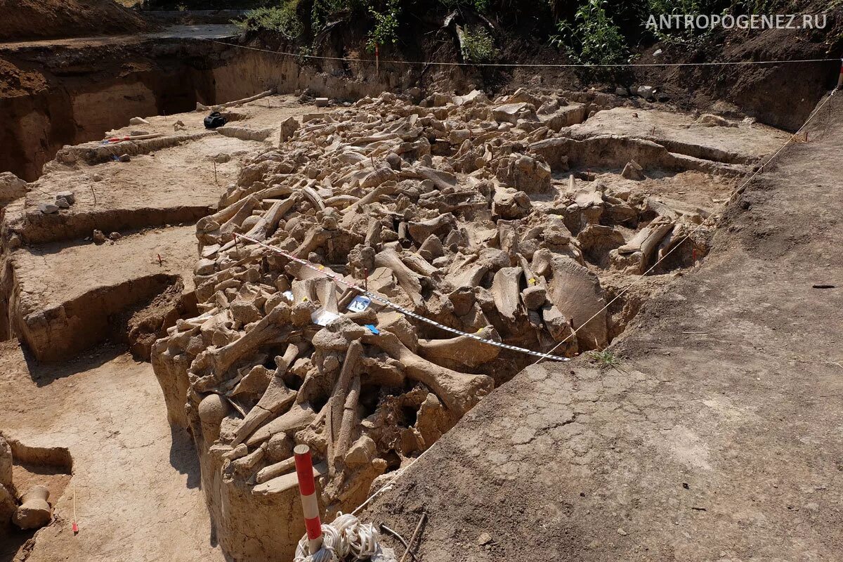 село костенки воронежская область. село костёнки раскопки воронежская область. костёнки древняя стоянка. стоянка костенки находки. воронеж древняя цивилизация.