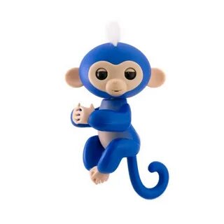 Happy monkey