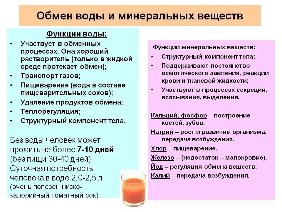 Роль и обмен воды