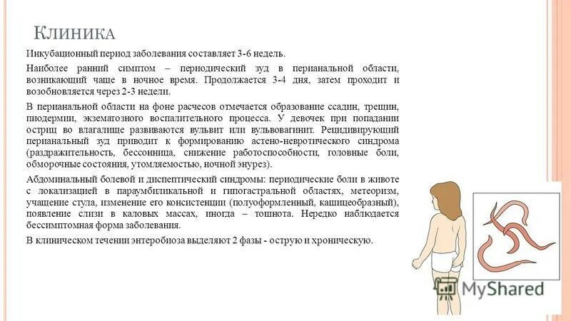 Циклы развития аскариды и острицы. Гельминты энтеробиоз у детей. Острица заболевание профилактика. Острицы инкубационный. Энтеробиоз инкубационный период.