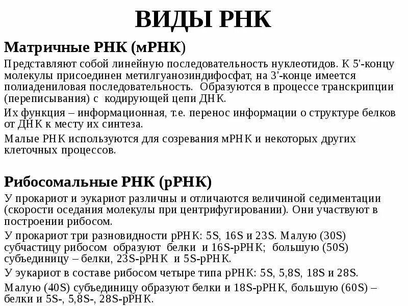 Адениновых нуклеотидов. МРНК последовательность нуклеотидов. МРНК количество нуклеотидов. Виды РНК биохимия. Полиадениловая последовательность на 3'-конце м-РНК:.