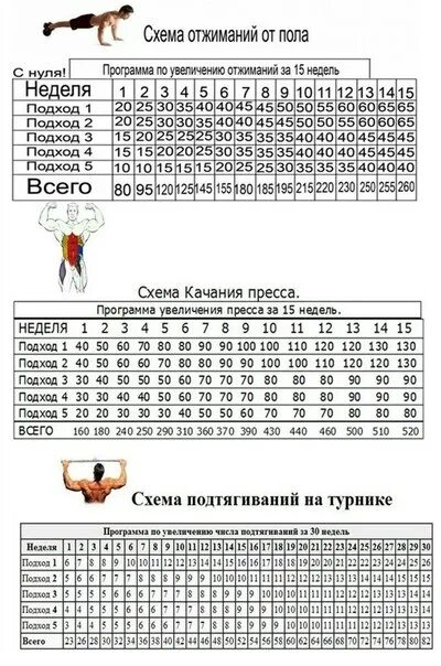 Программа отжиманий от пола дома. Схема турник брусья отжимания. отжимания схема упражнения. схема отжиманий от пола на 30. схема отжимания от пола турник брусья.