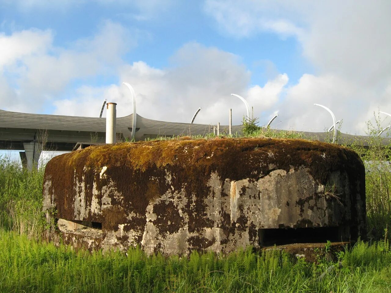 Нп 54