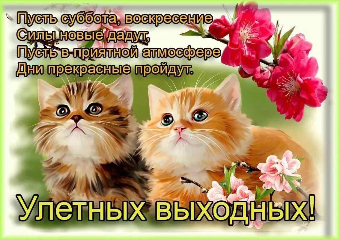 Доброго утра хорошего выходного дня картинки