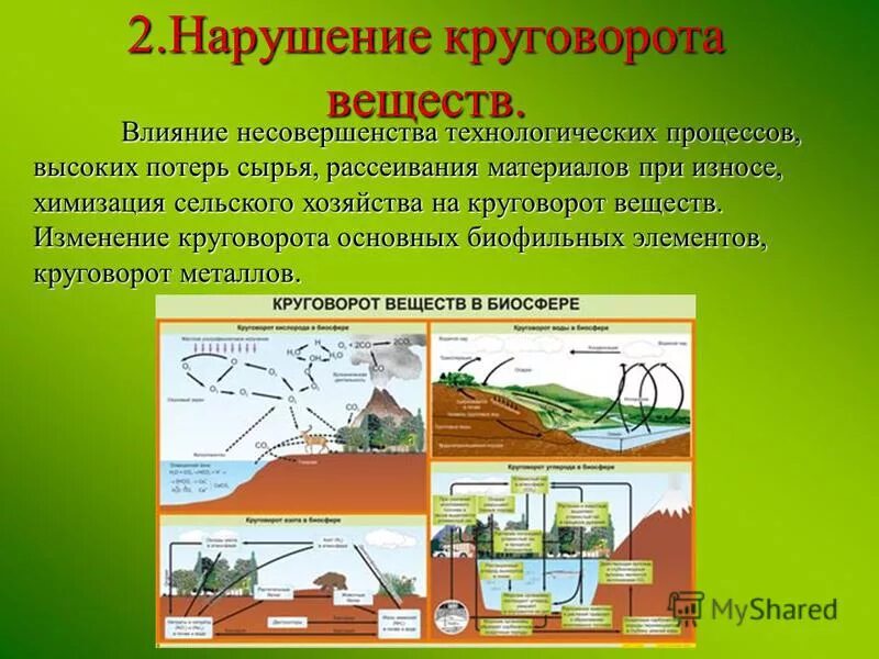 функции живого вещества в круговороте веществ