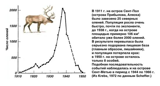 Биологические свойства популяции. Изменение численности особей оленей. Пума численность популяции. Составьте график численности оленей и объясните. Численность популяции оленей.