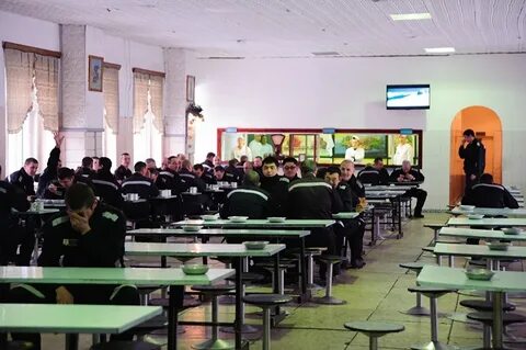 Красная колония