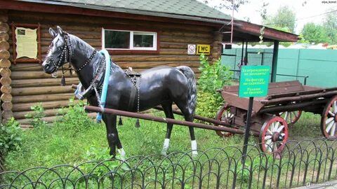 Лимпопо нижний новгород отзывы