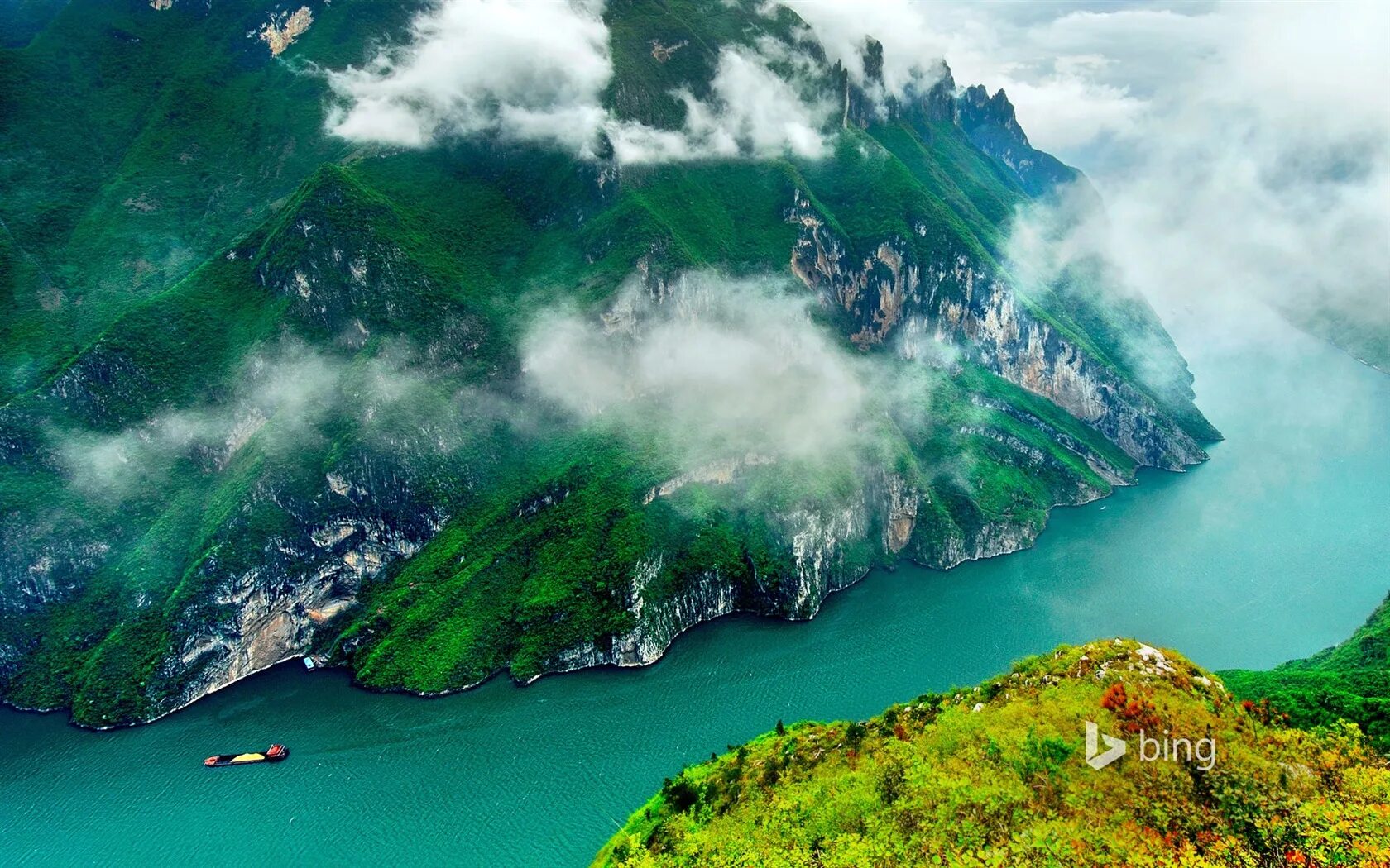 Bing in image