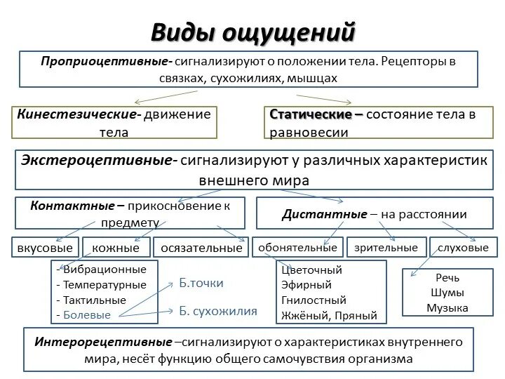 Привести пример ощущения. Виды ощущений в психологии таблица. Характеристика основных видов ощущений психология. Виды ощущений в психологии кратко. Схема виды ощущений психология.