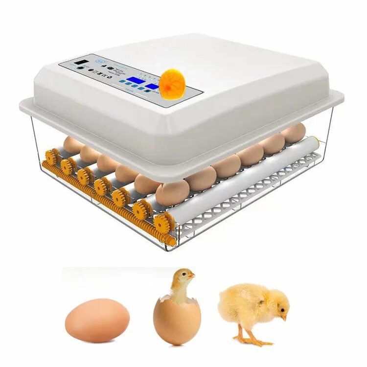 Озон инкубатор для яиц автоматический. Инкубатор 12 Egg incubator. Инкубатор на 24 яйца автоматический. Инкубатор FHQ-MN-24/56. Инкубатор для яиц автоматический dgoel на 24 яйца.