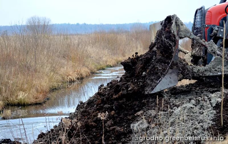 Святое болото. Восстановление болота. Болото Святая вода. Река Пулковка в Магистральном канале м-22. Муравьи строят дамбы гифка.