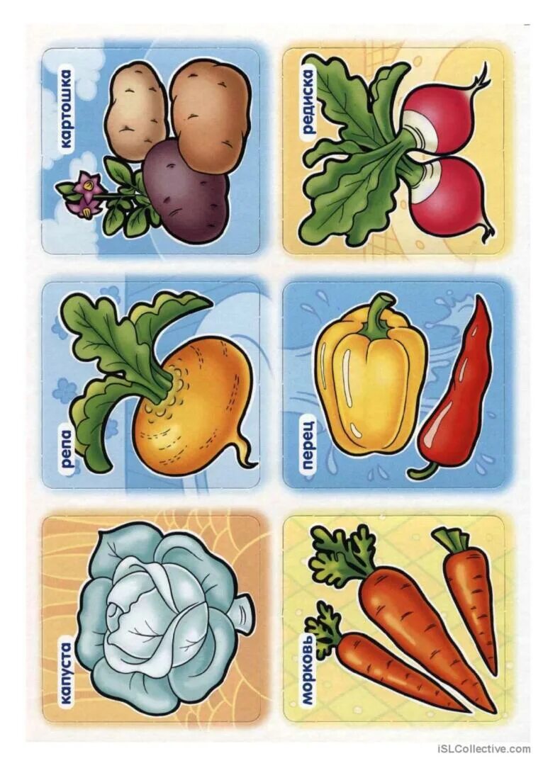 Имена существительные овощи. Карточки с изображением овощей. Овощи картинки для детей. Лото овощи. Овощи карточки для детей цветные.