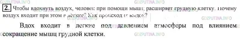 Вдохнуть воздух предложение. Физика 7 класс перышкин упражнение 20. чтобы вдохнуть воздух человек при помощи мышц расширяет. почему воздух входит в легкие. почему воздух заходит в грудную клетку.
