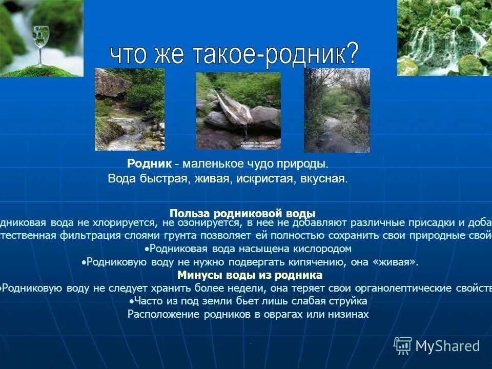 Родник в короче. Презентация Родники. Родник презентация. Сообщение о роднике. Доклад на тему Родники.