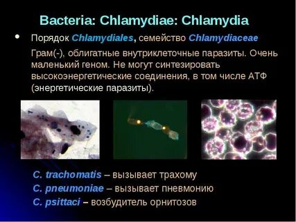 Внутриклеточные паразиты