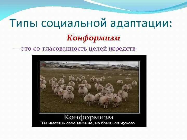 Проблема конформизма. Проблема конформизма