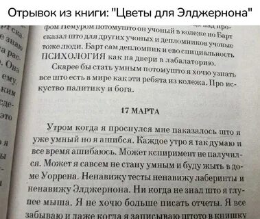 Цитаты элджернона