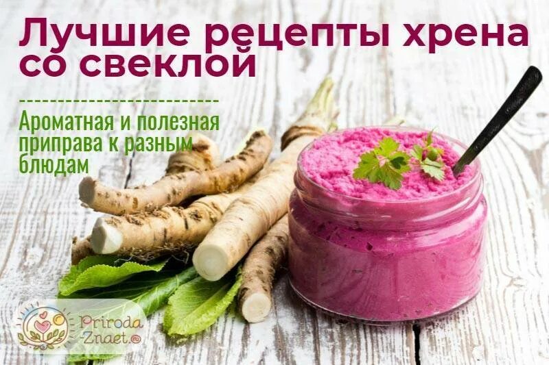 Приготовить корни хрена рецепт. Хрен рецепт. Хрен со свеклой. Хрен домашний со свеклой. Приправа хрен со свеклой.