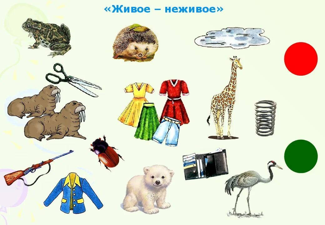 Игра со звуком ж