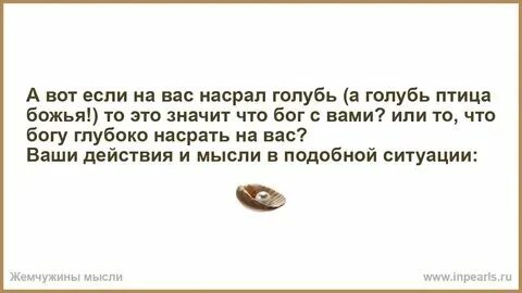 Приметы птичка накакала на руку