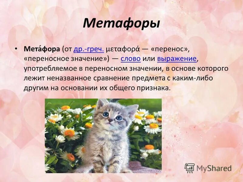 Примеры метафор с животными. Метафоры про животных. Метафоры про животных и растений. Метафора про кошку. Изложение по русскому языку ю ю